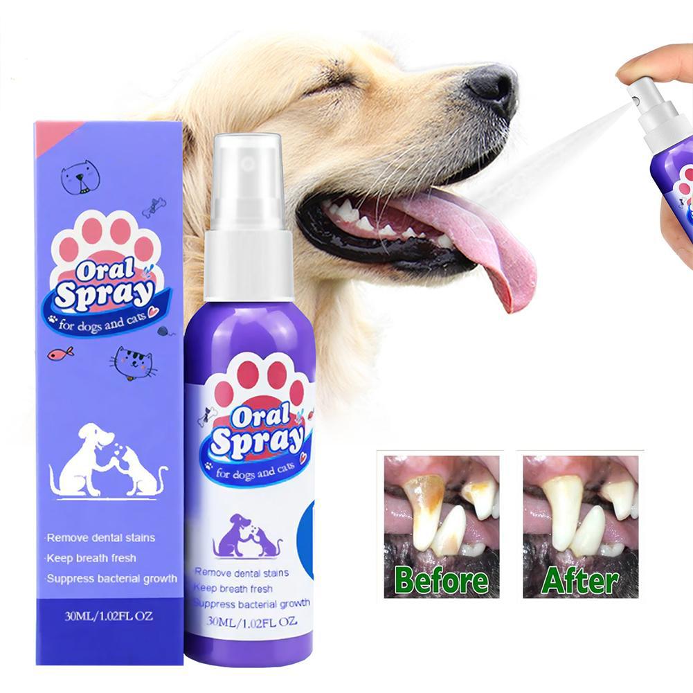 Evcil Hayvanlar İçin Ağız Spre - Teeth Whitening Mouthwash incelemesi ve fiyatı